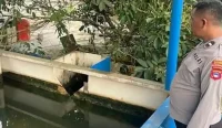 Lokasi kolam penampungan air PDAM PT Air Minum Sanggam Balangan di Desa Badalungga Kecamatan Awayan Kabupaten Balangan tempat bocah HA 7 tahun ditemukan meninggal Rabu 25 Maret 2026