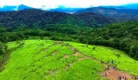 Padang ilalang di kawasan Bukit Japan Balangan yang viral di media sosial menjadi salah satu rekomendasi wisata Balangan untuk liburan Lebaran keluarga