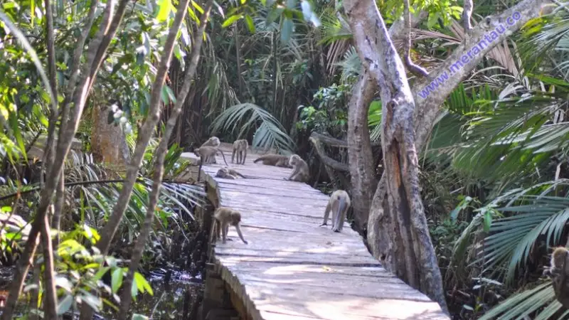 7 Tempat Wisata Banjarmasin untuk Liburan Lebaran Keluarga yang Seru