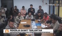 buruh sawit kotabaru datangi disnaker terkait pekerja terlantar di jayapura