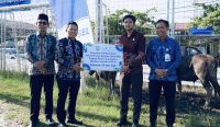 Pemkab Balangan bersama Bank Kalsel Cabang Paringin menyalurkan 24 ekor sapi kurban dari dana CSR untuk masyarakat menjelang Idul Adha 1447 Hijriah.