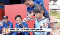 Posko Damkar Sektor Jorong di Tanah Laut menghadirkan mini zoo berisi satwa hasil evakuasi sebagai sarana edukasi bagi anak-anak sekolah.