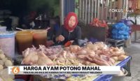 Harga ayam potong di pasar tradisional Martapura naik dari Rp18 ribu menjadi Rp22 ribu per kilogram.