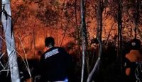 Titik Panas Mulai Muncul di Kalsel, Perlindungan Gambut Dinilai Lemah