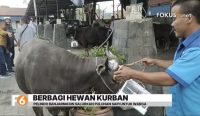 Pelindo Regional 3 Sub Regional Kalimantan menyalurkan 19 sapi dan 13 kambing melalui program Pelindo Berbagi Qurban 2026 di Banjarmasin.