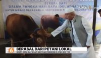 Gubernur Kalsel Muhidin menyerahkan sapi kurban bantuan Presiden Prabowo Subianto
