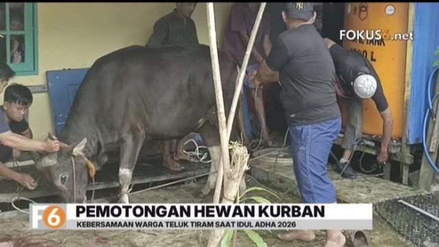 Warga Teluk Tiram Banjarmasin Barat melaksanakan penyembelihan hewan kurban di Langgar Darul Iman dengan penuh kebersamaan saat Idul Adha.