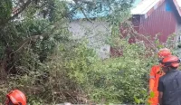 Hujan deras dan angin kencang menumbangkan pohon lapuk di Kuin Cerucuk Banjarmasin Barat hingga menimpa bangunan sekolah.