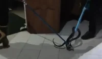 Damkar Simpang Empat Tanah Bumbu mengevakuasi ular kobra dari kamar mandi rumah warga di Desa Kupang Berkah Jaya, Tanah Bumbu, Kamis malam.