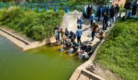 Pemko Banjarbaru menebar 37.333 benih ikan papuyu dan gurami di dua lokasi perairan umum untuk perkuat ketahanan pangan dan menjaga ekosistem.