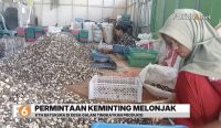 Permintaan rempah keminting meningkat menjelang Maulid Nabi Muhammad SAW. KTH Batukura di Tanah Laut mempercepat produksi