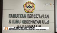Universitas Lambung Mangkurat resmi membuka Program Studi Kedokteran Hewan dan Pendidikan Profesi Dokter Hewan setelah mengantongi izin Kemendiktisaintek.