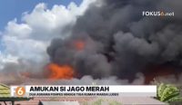 Dua asrama santri Pondok Pesantren Darussalam dan tiga rumah warga ludes terbakar di Antasan Senor, Martapura Timur.