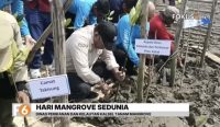 Pemprov Kalsel menanam 17 ribu mangrove di Desa Pagatan Besar, Takisung, menggunakan metode hybrid engineering.