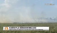 Kebakaran hutan dan lahan atau karhutla di Kabupaten Banjar mencapai 184 hektare hingga akhir Juli 2026.