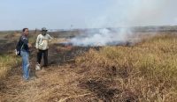 Polisi mengamankan petani di Desa Amparaya, HSS, karena dugaan bakar lahan seluas 17 borongan. Polisi turut menyita bambu dan korek api.