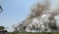 TPA Basirih Banjarmasin terbakar saat panas ekstrem. BPBD Kalsel meningkatkan kewaspadaan dan petugas terus siaga.