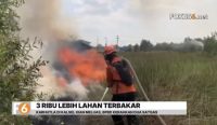 Lahan terbakar di Kalsel mencapai 3.387,90 hektare dari 1.051 kejadian karhutla hingga 11 Agustus 2026. BPBD memperkuat penanganan.