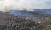 Gubernur Kalsel Muhidin mengancam mencabut izin usaha perusahaan jika terbukti sengaja membakar hutan dan lahan.