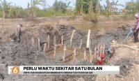 Pemkab Tala membangun tanggul dan pintu air baru di Desa Tambak Karya untuk mencegah air laut masuk ke sawah warga.