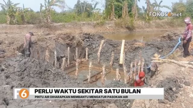 Pemkab Tala membangun tanggul dan pintu air baru di Desa Tambak Karya untuk mencegah air laut masuk ke sawah warga.