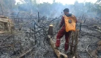 Presiden Prabowo Subianto meminta inovasi pemadam berbahan ubi diproduksi massal untuk membantu mempercepat penanganan karhutla.