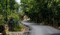 Bupati Banjar Saidi Mansyur meninjau proyek jalan di Martapura dan Karang Intan. Proyek senilai Rp7,7 miliar memakai APBD 2026.