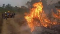 Karhutla Cindai Alus, Kabupaten Banjar, mendekati pembibitan sawit. Petugas sempat menunda pemadaman karena kabel listrik terbakar dan putus.
