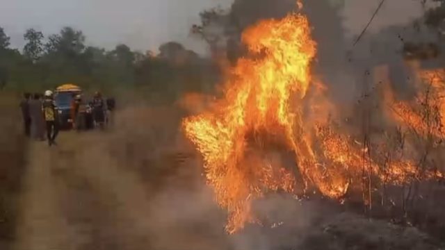 Karhutla Cindai Alus, Kabupaten Banjar, mendekati pembibitan sawit. Petugas sempat menunda pemadaman karena kabel listrik terbakar dan putus.