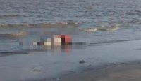 Jasad berbaju pelampung ditemukan di pesisir Seruyan, Kalimantan Tengah. Basarnas menduga jasad berkaitan dengan kecelakaan KM Virgo Transport 8.