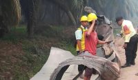 Serpihan logam berkabel ditemukan di kebun sawit Kotim, Kalteng. Warga mengaitkannya dengan dentuman keras yang terdengar sehari sebelumnya.