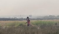 Kebakaran lahan di Puntik Tengah, Barito Kuala, meluas hingga hampir 100 hektare dalam dua hari. Api sempat mendekati permukiman warga.
