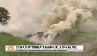 Polda Kalsel mengusut 23 kasus karhutla, terdiri dari 11 kasus perorangan dan 12 korporasi. Sebagian besar perkara telah masuk tahap penyidikan.