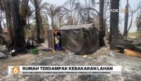 Rumah Anang Noraini hangus akibat karhutla di Martapura Timur, Kabupaten Banjar. Kini, ia bersama anak dan keponakannya bertahan di tenda terpal.