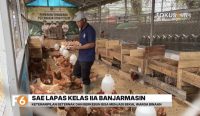 Lapas Kelas IIA Banjarmasin membekali warga binaan dengan keterampilan beternak dan berkebun melalui program Sarana Asimilasi dan Edukasi.