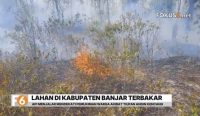 Karhutla kembali melanda Cindai Alus, Kabupaten Banjar. Angin kencang membuat api menjalar hingga mendekati jalan desa dan membakar 1,7 hektare lahan.