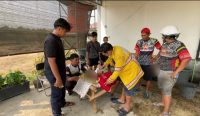 Rekan mengungkap detik-detik relawan damkar Amang Udin mengalami nyeri dada dan sesak napas sebelum meninggal saat memadamkan karhutla di Barito Kuala.